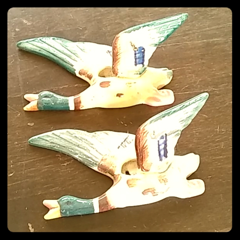 VINTG Mallard Duck Wall Art Decor Vintage